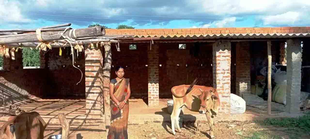 गोधन न्याय योजना ग्रामीणों के लिए बन रही है आर्थिक विकास की सेतु