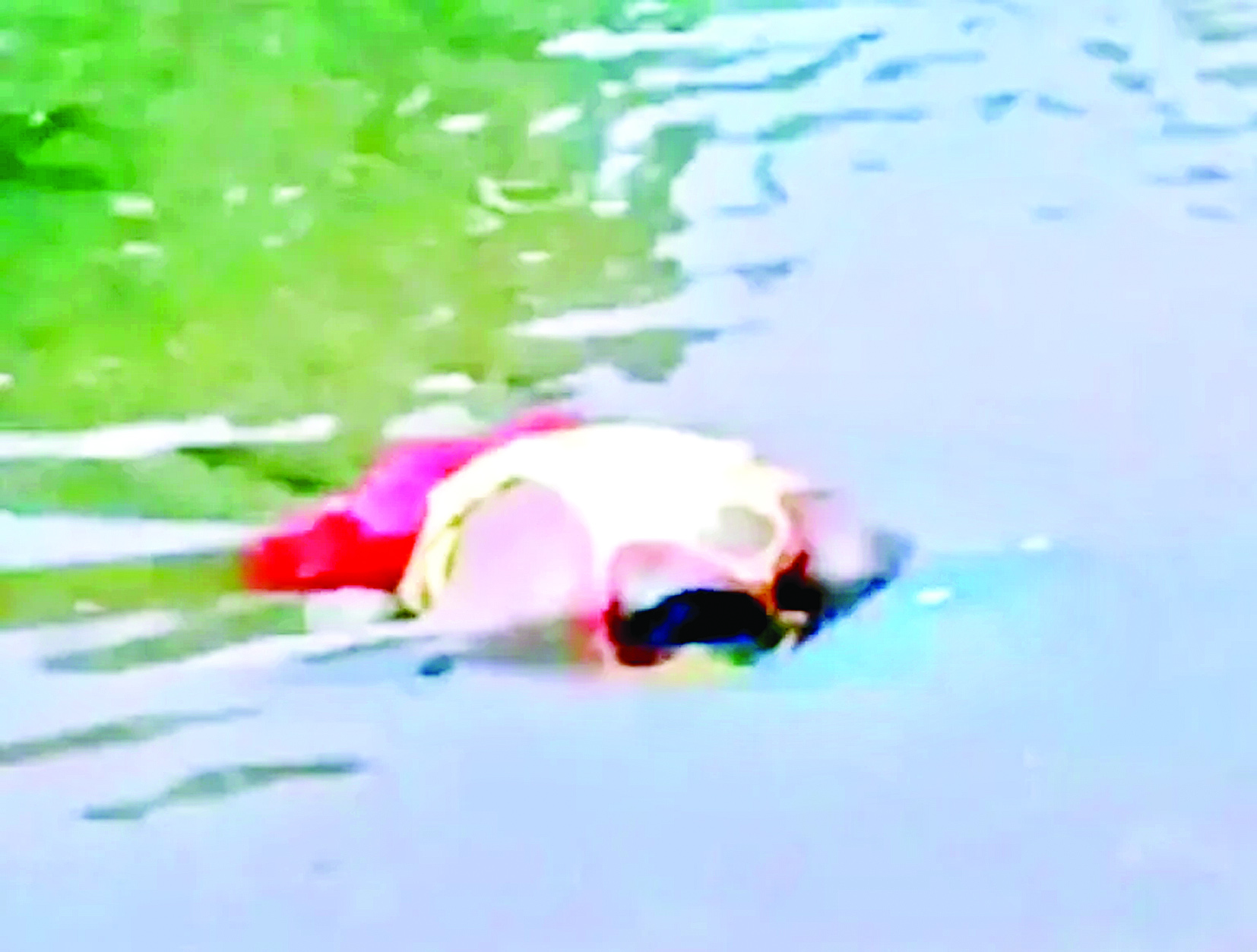 नदी में मछली पकड़ने गये एक युवक की डूबकर हुई मौत