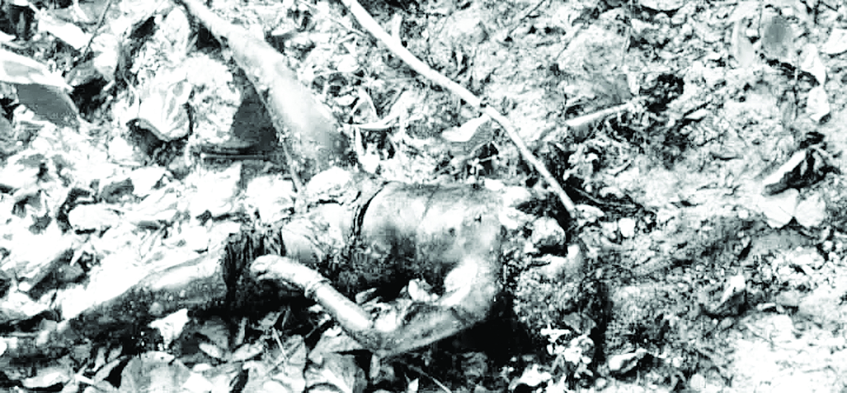 जंगल में मिली युवती की अधजली लाश, फैली सनसनी 