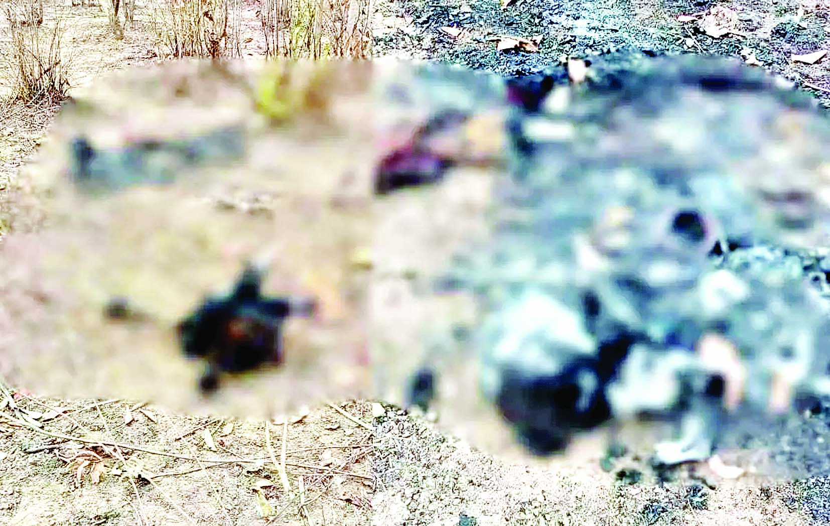 महिला की जली हुई लाश मिलने से फैली सनसनी