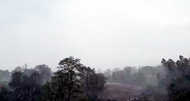 जमकर हो रही बस्तर में बारिश, देखें वीडियो