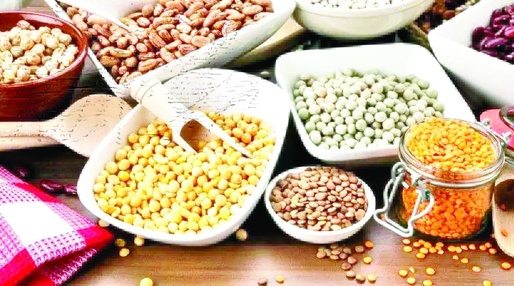 दलहन-तिलहन की खेती से किसानों की आय दुगुनी करने कलेक्टर का आह्वान
