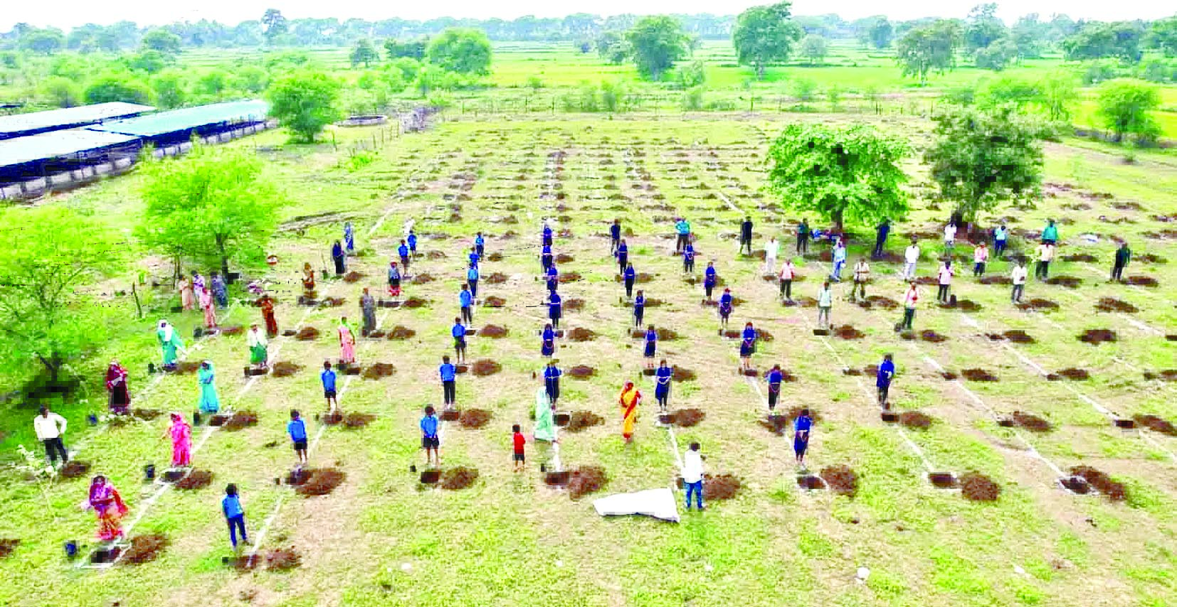 एक पेड़ मां के नाम अभियान के तहत ग्राम पंचायत कुकरा और रीवा में वृहद वृक्षारोपण