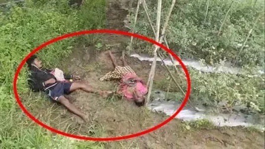 खेत में करंट की चपेट में आने से पिता-पुत्र की मौत, गांव में सनसनी