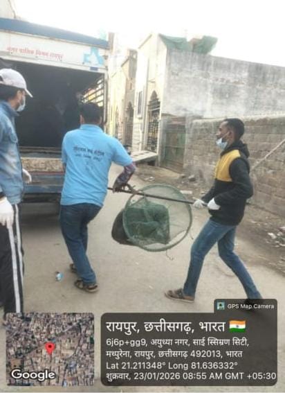 रायपुर नगर निगम द्वारा निगम क्षेत्र में एनिमल बर्थ कण्ट्रोल ( एबीसी) कार्यक्रम का निरन्तर प्रभावी क्रियान्वयन...