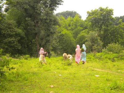 किसानों की जमीन पर भू-माफियाओं की नजर