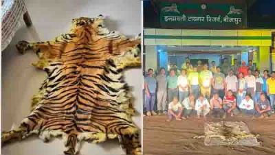 बीजापुर के मद्देड़ बफर रेंज में बाघ के खाल के साथ 10 गिरफ्तार