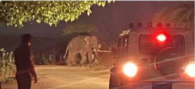 बालोद पुलिस कंट्रोल रूम में घुसा हाथी, जान बचाने छिपे कर्मचारी; कोरबा में महिला पर किया हमला