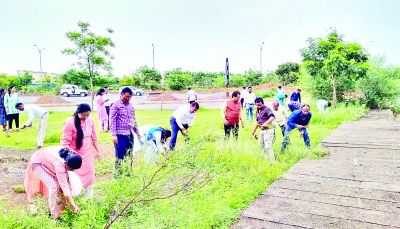 राज्य सूचना आयोग परिसर में किया गया श्रमदान