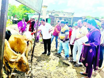 ग्राम पंचायत महरूम खुर्द में कलेक्टर के निर्देशन में चला मवेशियों के रोका छेका अभियान