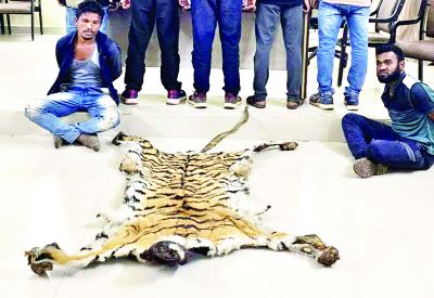 छत्तीसगढ़-महाराष्ट्र बार्डर में दो तस्कर गिरफ्तार, कब्जे से बाघ की खाल जब्त
