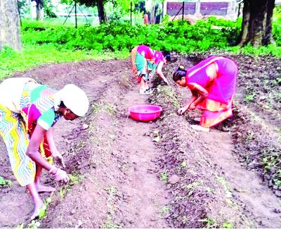 बिहान समूह की दीदियां हल्दी की खेती की ओर बढ़ रही आगे