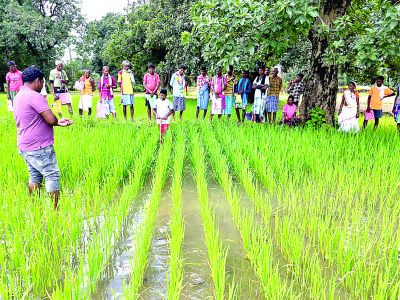  जिला प्रशासन के मार्गदर्शन में कृषि विभाग की अभिनव पहल