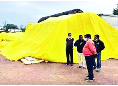 कलेक्टर की चेतावनी: बारिश की संभावना को देखते हुए धान बचाव की सुरक्षा के लिए तैयार रहें