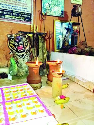 बाबा मरस पोटा धाम में  ज्योति प्रज्ज्वलित के साथ श्री मद भागवत महापुराण ज्ञान यज्ञ प्रारम्भ 