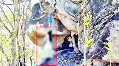 शादी से पहले युवती ने खुदकुशी, परिजनों में मचा कोहराम 