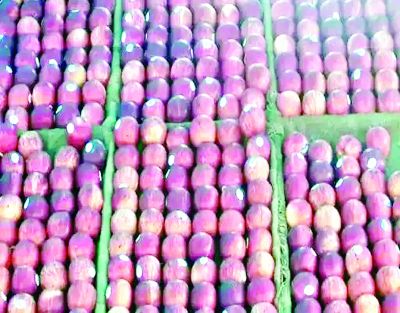 छत्तीसगढ़ में तुर्की के सेब का बहिष्कार, अब नहीं बिकेगी