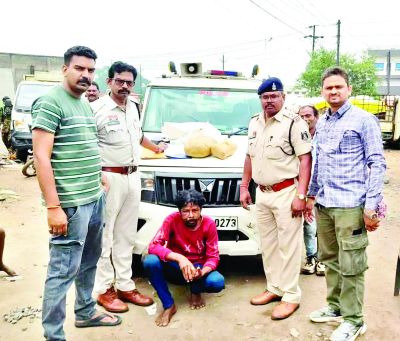  गांजा बेचने की फिराक में था आनंद पटेल, 2 किलो 950 ग्राम मादक पदार्थ के साथ गिरफ्तार 