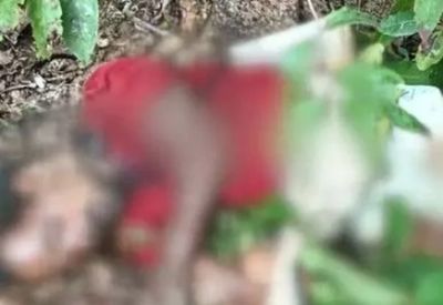 चरवाहे को जंगली हाथियों ने कुचला, मौत