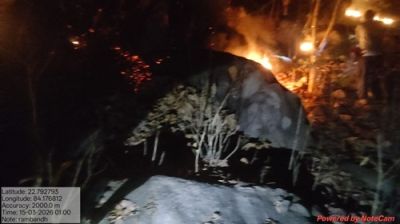 जशपुर वनमंडल में दो स्थानों पर लगी आग पर रातों-रात पाया गया नियंत्रण...