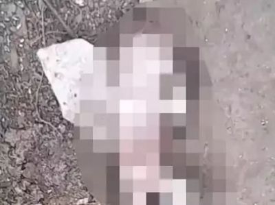 दुर्ग जिला अस्पताल के पीछे नाली में मिला नवजात का शव...