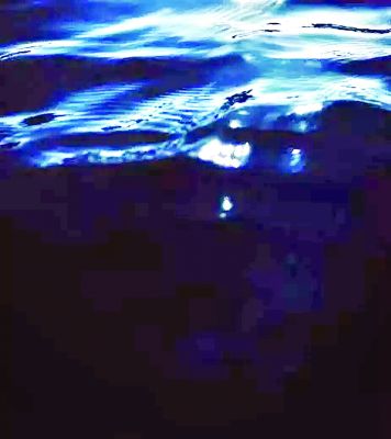 नदी में नहाते समय चार युवकों की डूबने से मौत 