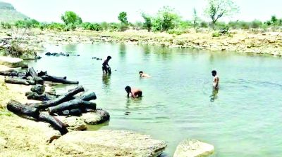 पुष्पा भी मिला और माल भी, नदी के रास्ते कर रहे थे लकड़ी तस्करी 