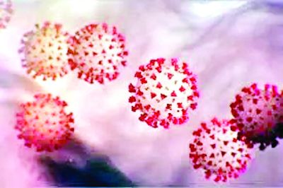 कोविड के 7 नए मामले सामने आए, 24 घंटे में कोई ठीक नहीं हुआ 