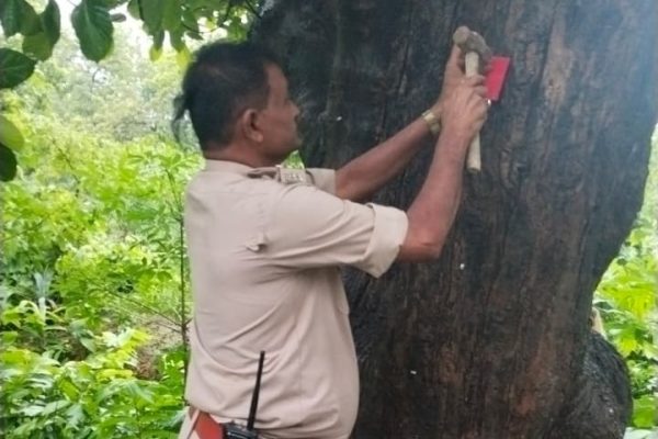 सड़क किनारे पेड़ों पर लगाए जा रहे Tree Marker रेडियम रिफ्लेक्टर, रात में दुर्घटनाओं की आशंका होगी कम
