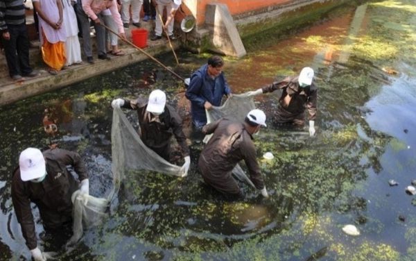 सेवा संकल्प अभियान के तहत अशोक स्थल में आज स्वच्छता अभियान, श्रमदान से दिया जा रहा स्वच्छता का संदेश…