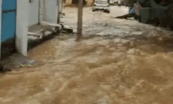 छत्तीसगढ़ में आफत की बारिश: गरियाबंद में बाढ़ जैसी स्थिति, रायपुर में सड़कें जलमग्न, रेल व हवाई सेवाएं प्रभावित…